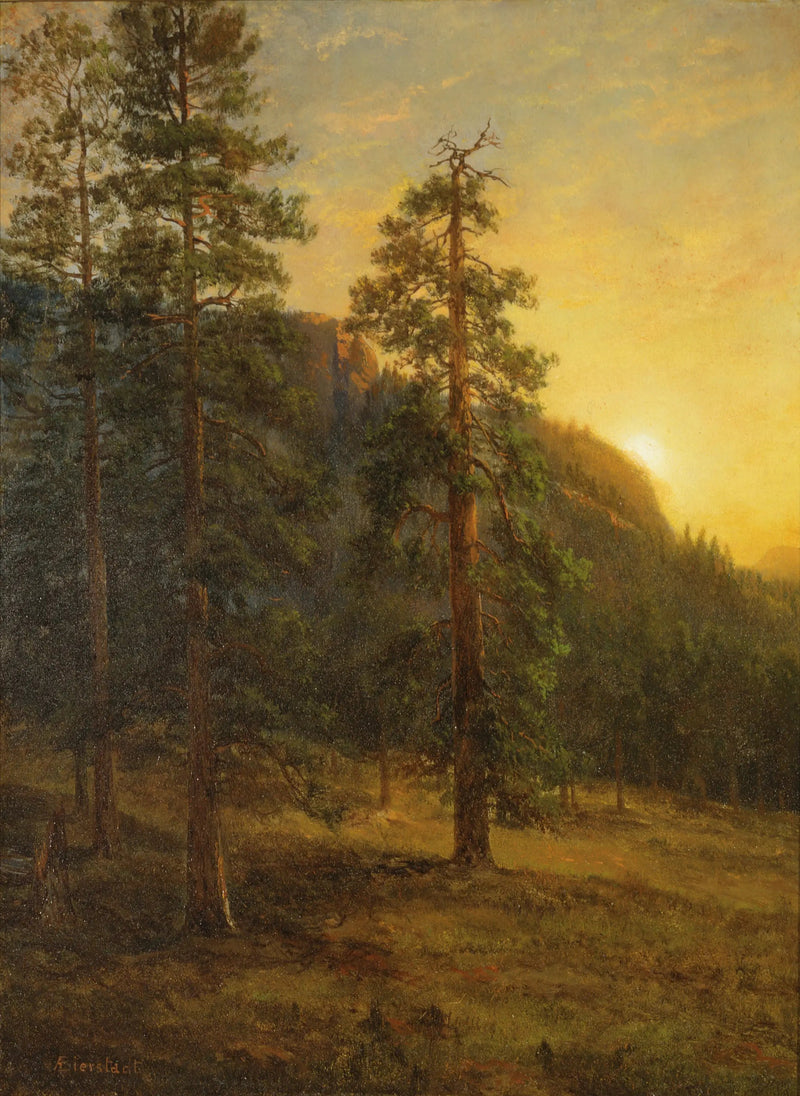 캘리포니아 삼나무 숲 - 알버트 비어슈타트

Source:
Séquoias de Californie - Albert Bierstadt
