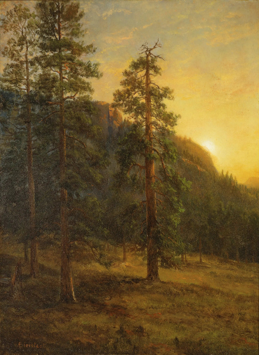 캘리포니아 삼나무 숲 - 알버트 비어슈타트

Source:
Séquoias de Californie - Albert Bierstadt