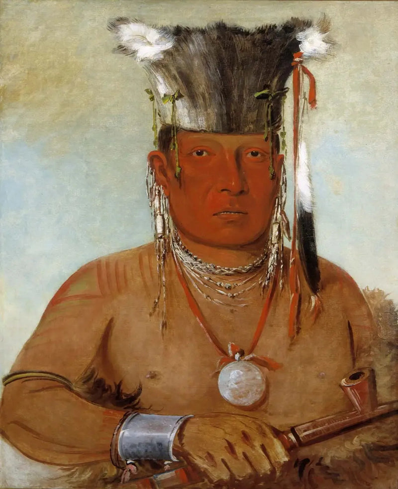 샤우다몬니, 바로 그가 있습니다, 용감한 - 조지 캐틀린

Source:
Sháw-da-mon-nee, le voilà, un brave - George Catlin