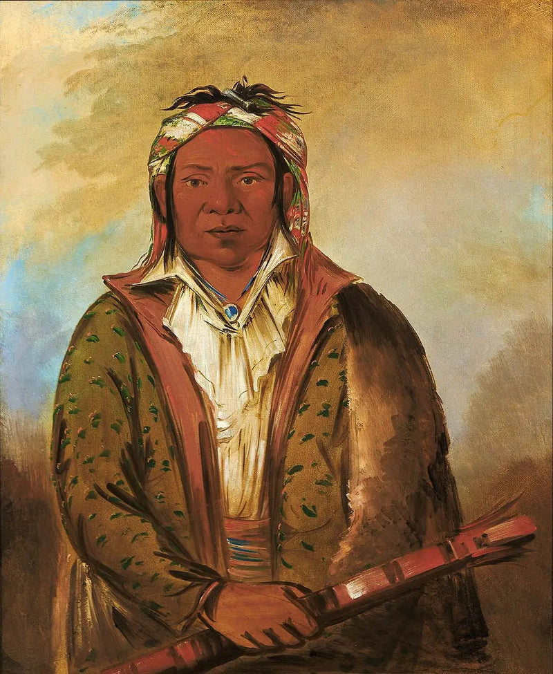 알파 재생 - 유화 그림 복제품

Source:
Shee-náh-wee - George Catlin