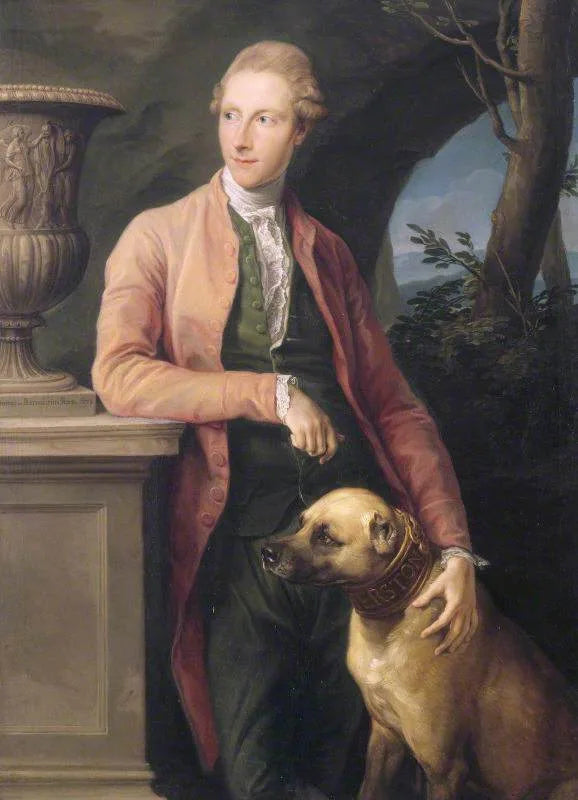 해리 페더스턴호, 2대 남작 (1754–1846) - Pompeo Batoni