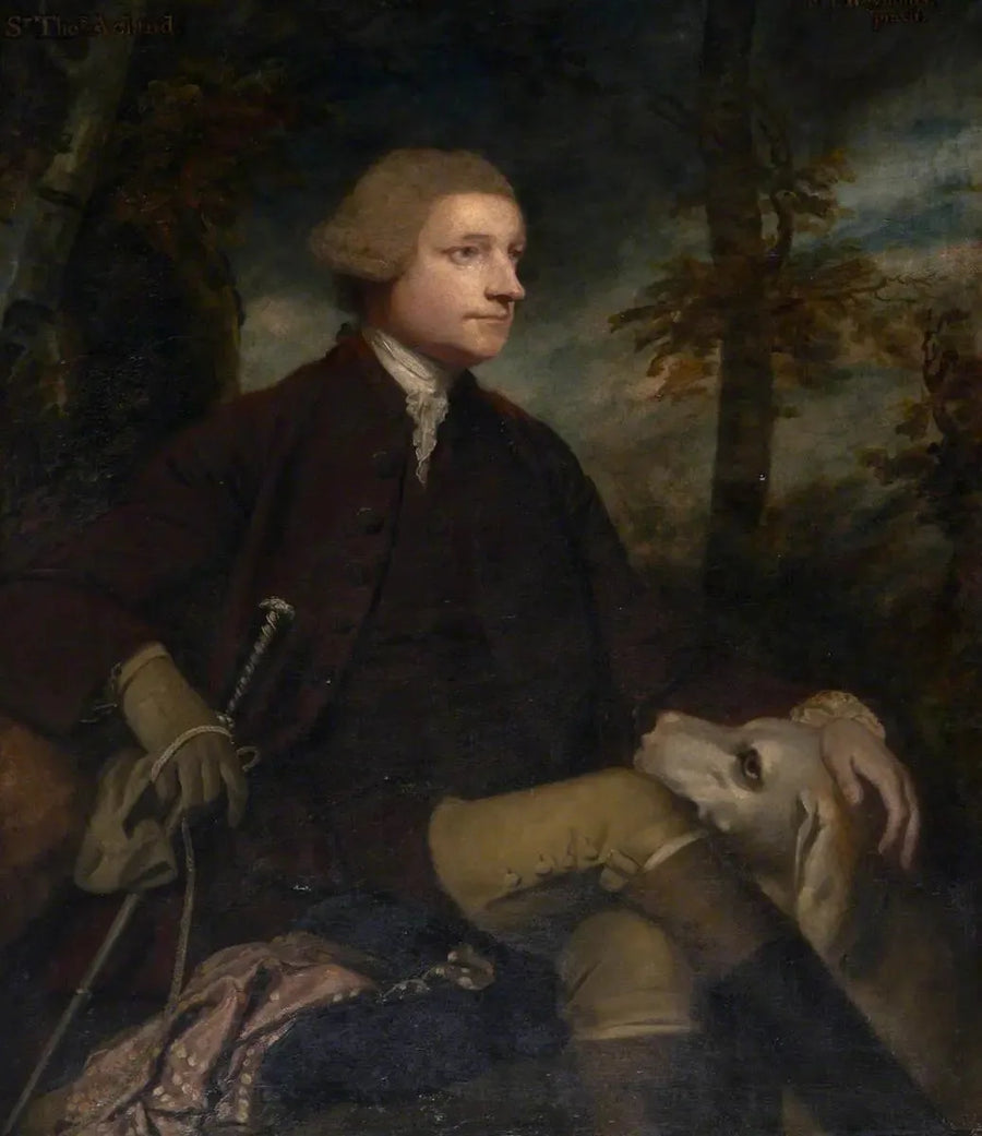 사이 Thomas Dyke Acland, 3e/7e baronnet Acland de Columb-John MP (1722-1785) - Joshua Reynolds