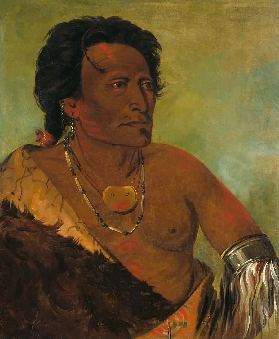 스카이 세로카, 부족의 두 번째 추장 - 조지 캐틀린

Source:
Sky-se-ró-ka, deuxième chef de la tribu - George Catlin