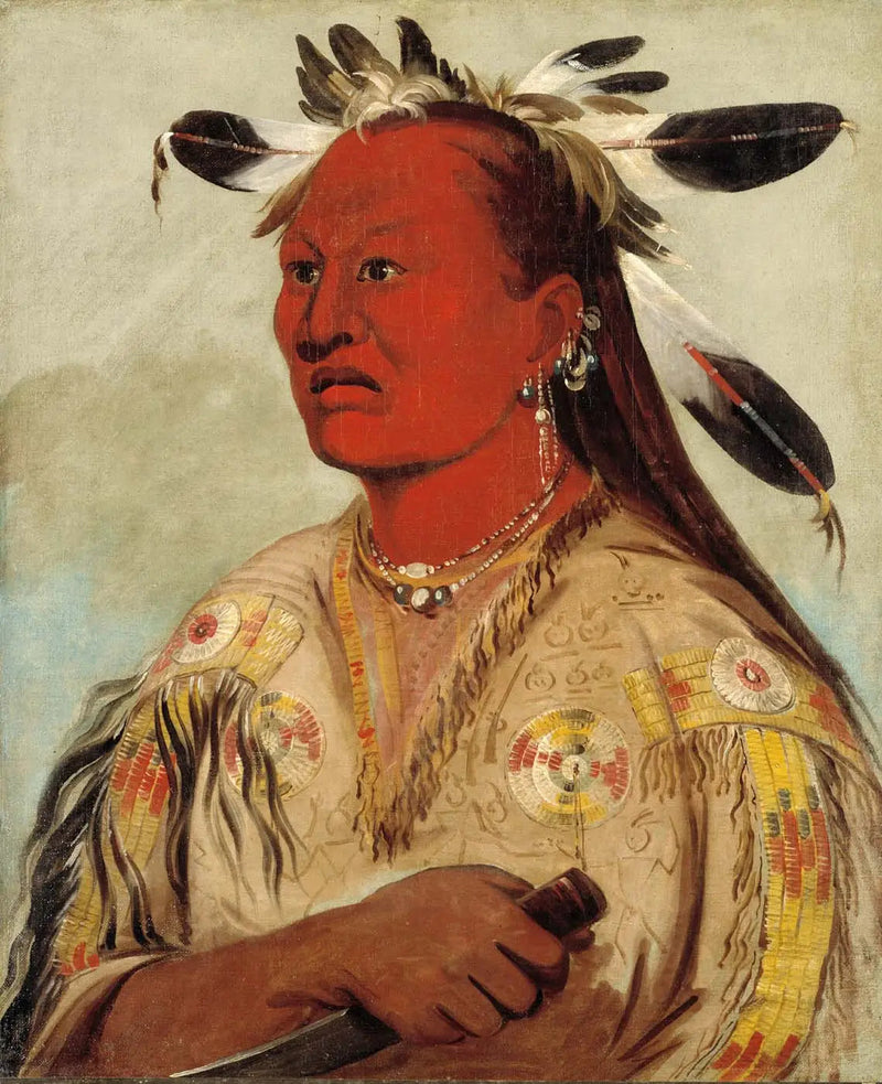 스탄-오-팟, 블러디 핸드, 부족의 우두머리 - 조지 캐틀린

Source:
Stán-au-pat, Bloody Hand, chef de la tribu - George Catlin