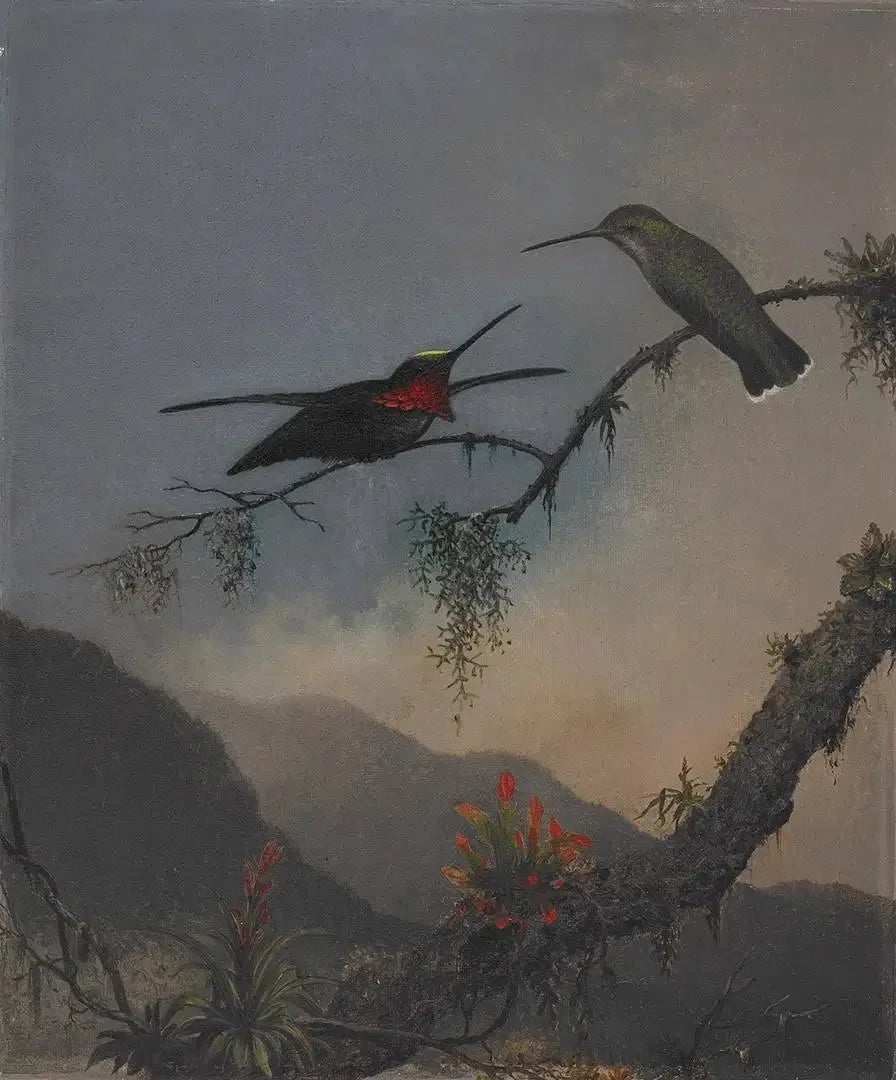 가슴에 줄무늬가 있는 스타스롭 - 마틴 존슨 헤이드

Source:
Starthroat à poitrine rayée - Martin Johnson Heade