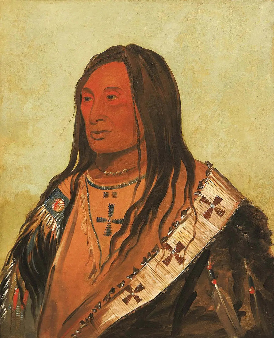타지케다차, 찢어진 배, 용감한 저명인 - 조지 캐틀린

Source:
Táh-zee-keh-dá-cha, Ventre déchiré, un brave distingué - George Catlin