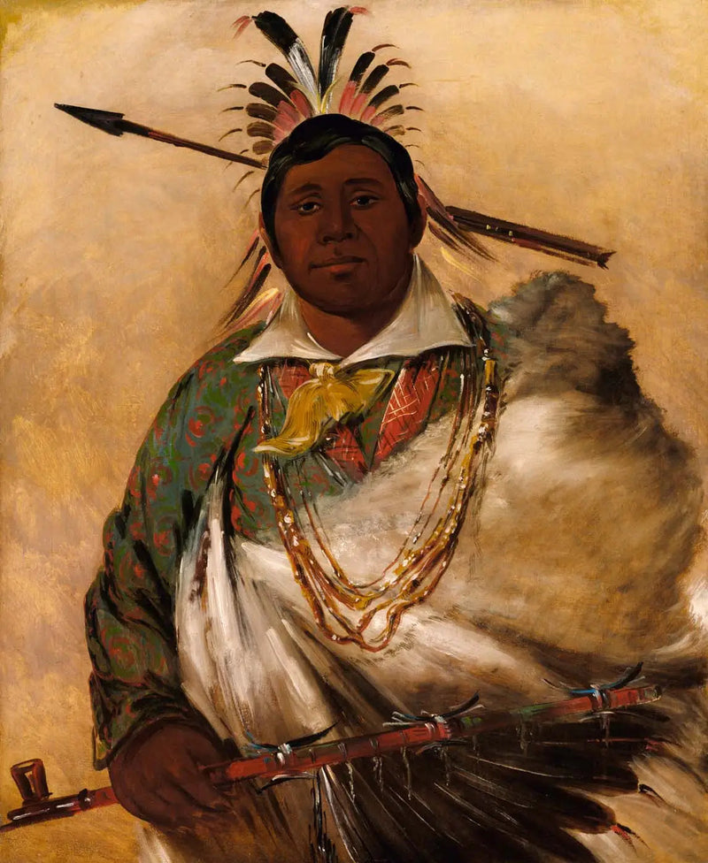 테크네키, 검은색 코트, 셰프 - 조지 캐틀린

Source:
Téh-ke-néh-kee, manteau noir, un chef - George Catlin