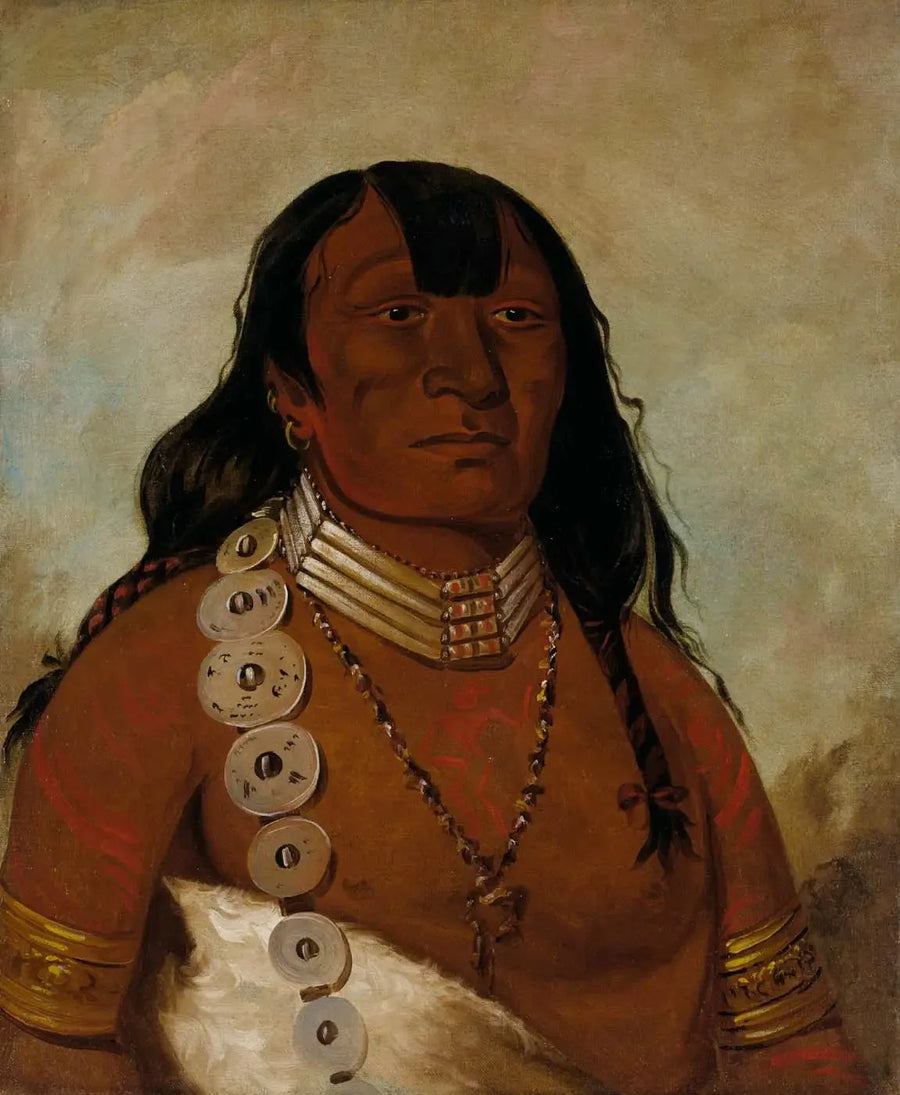 알파 재생산 유화 그림 복제 - 명화 인쇄 액자 벽걸이 그림 인테리어 장식

Source:
Téh-tóot-sah (mieux connu sous le nom de Tohausen, Little Bluff), premier chef - George Catlin