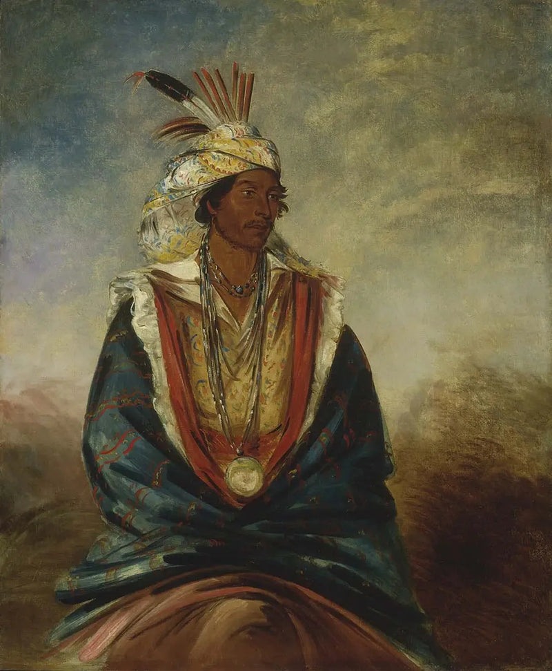 텔마즈하자, 뛰어난 전사 - 조지 캐틀린

Source:
Tel-maz-há-za, un guerrier de distinction - George Catlin