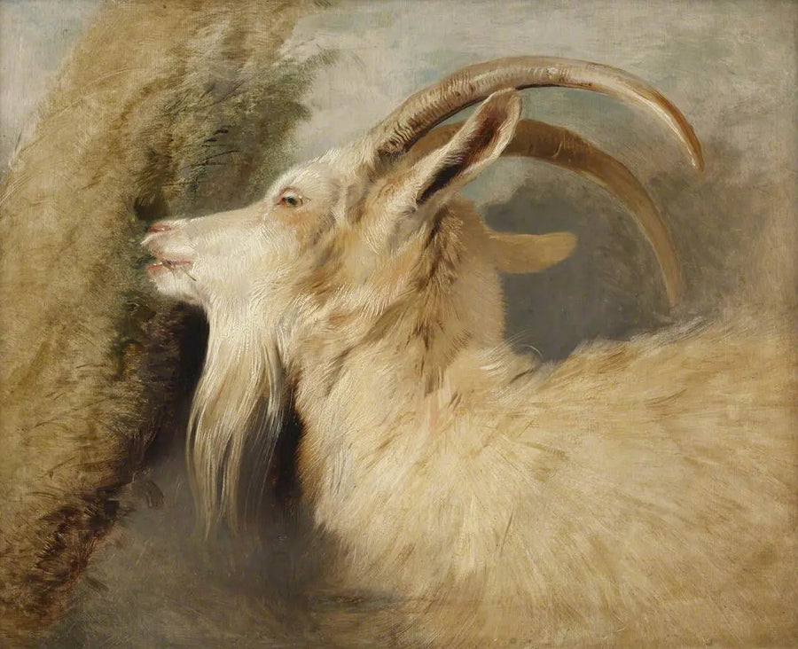 염소 머리 - 에드윈 헨리 랜드시어

Source:
Tête de chèvre - Edwin Henry Landseer