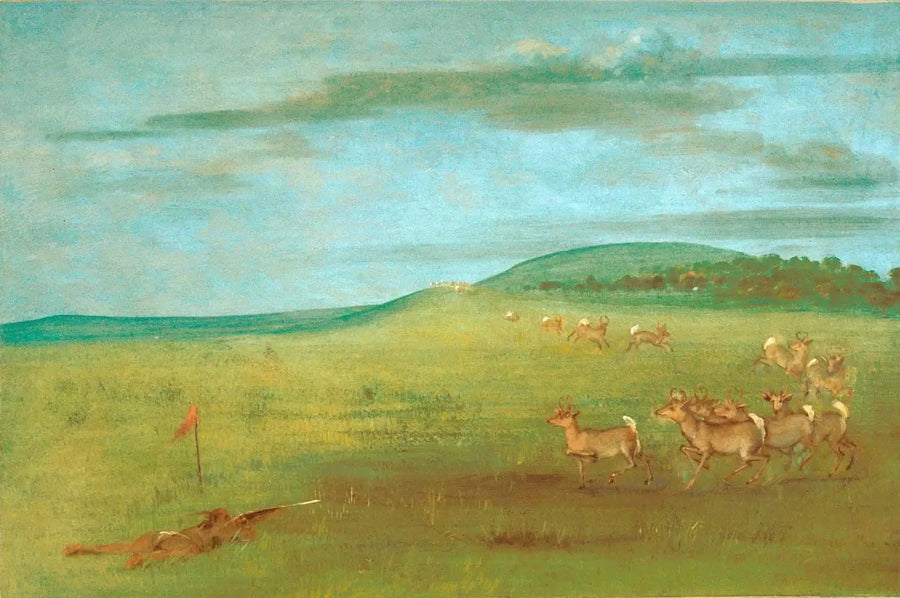 사슴을 쏘는 그림 - 조지 캐틀린

Source:
Tir sur une antilope attirée - George Catlin