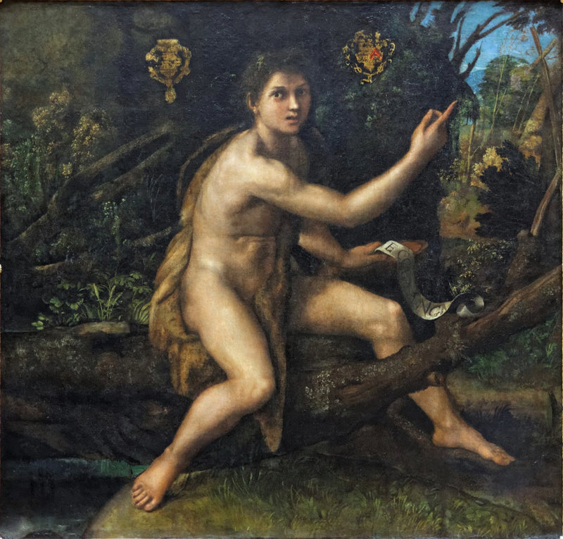 사막의 성 요한 세례자 - 라파엘 산치오