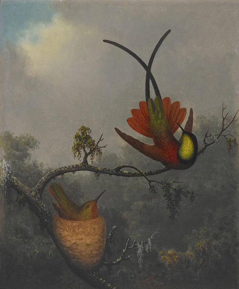 적홍색 토파즈 - 마틴 존슨 헤이드

Source:
Topaze cramoisie - Martin Johnson Heade