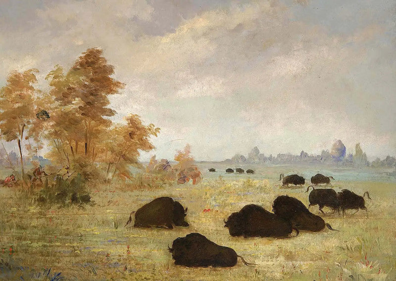 버팔로 사냥, 아칸소 - 조지 캐틀린

Source:
Traque de bisons, Arkansas - George Catlin