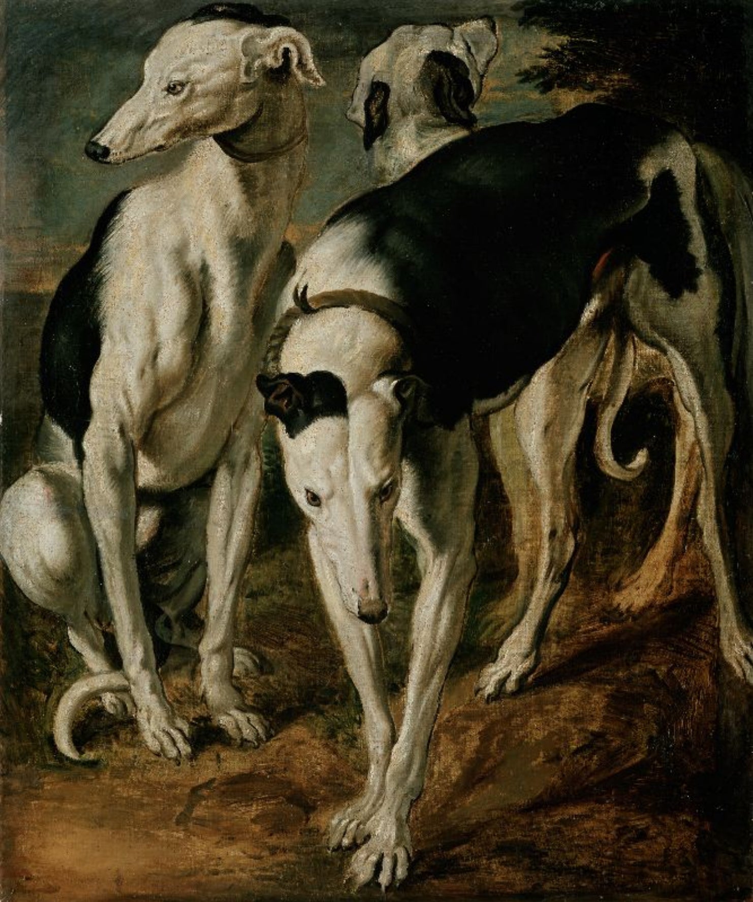 Trois lévriers - Frans Snyders image 1 reproduction d’œuvre d’art à l’huile