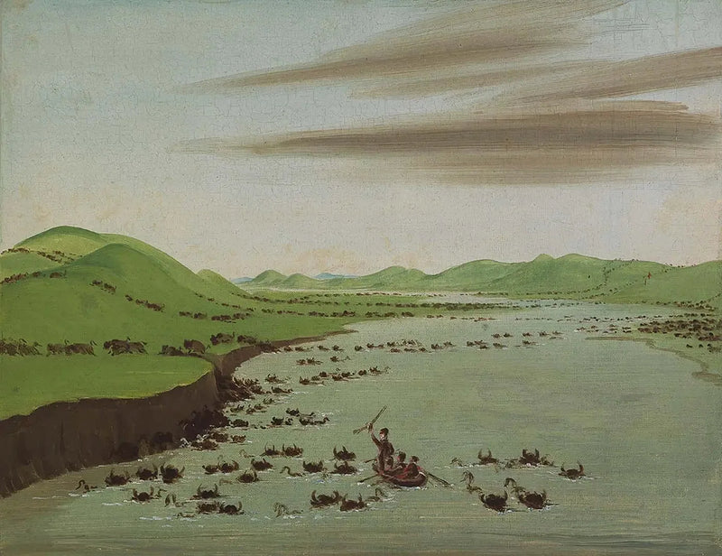 하이 미주리 강을 건너는 들소 떼 - 조지 캐틀린

Source:
Troupeaux de bisons traversant le Haut-Missouri - George Catlin