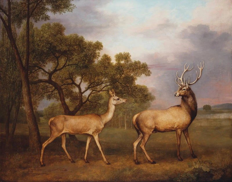 수사슴 수컷과 암사슴 - 조지 스텁스

Source:
Un cerf élaphe mâle et une biche - George Stubbs