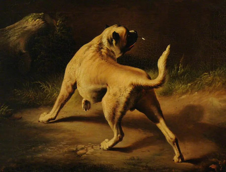 경계하는 개 - 에드윈 헨리 랜드시어

Source:
Un chien en alerte - Edwin Henry Landseer