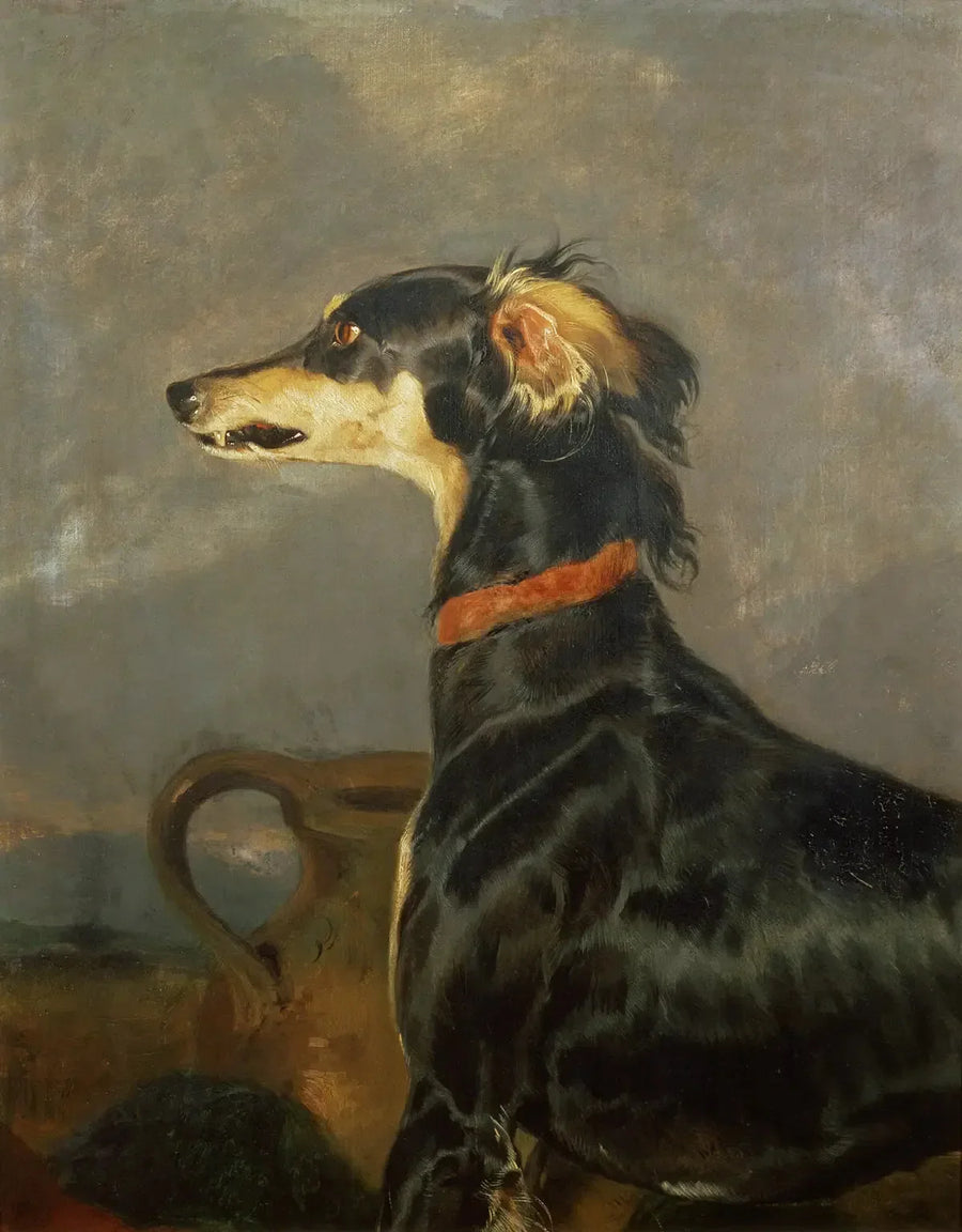 살루키 개 - 에드윈 헨리 랜드시어

Source:
Un chien Saluki - Edwin Henry Landseer