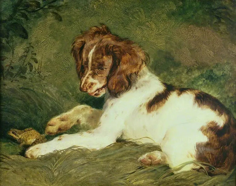 강아지가 개구리를 놀리고 있다 - 에드윈 헨리 랜드시어

Source:
Un chiot taquine une grenouille - Edwin Henry Landseer