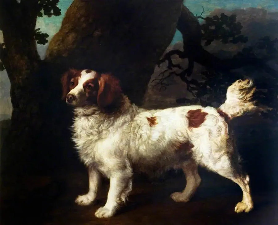 언 클럼버 스패니얼 - 조지 스터브스

Source:
Un Clumber Spaniel - George Stubbs