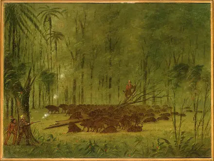 펙카리와의 싸움 - 카리브해 - 조지 캐틀린

Source:
Un combat avec des pécaris - Caraïbes - George Catlin