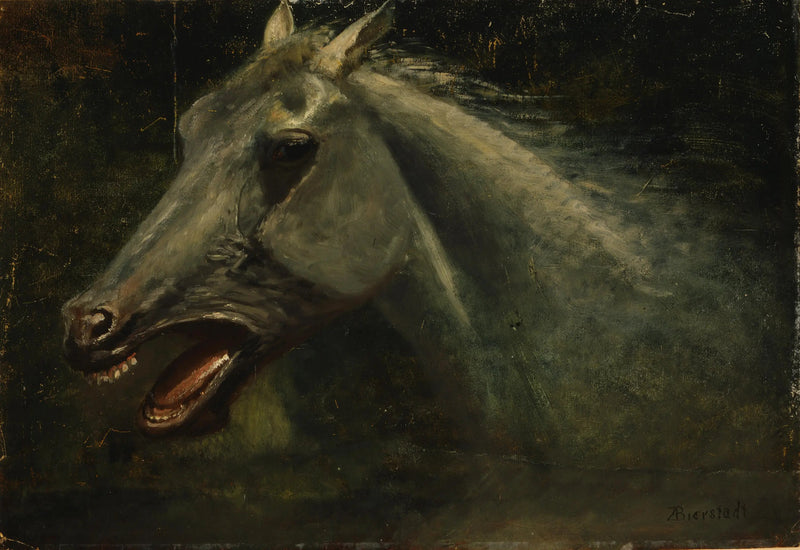 야생 말 - 알버트 비어슈타트

Source:
Un étalon sauvage - Albert Bierstadt