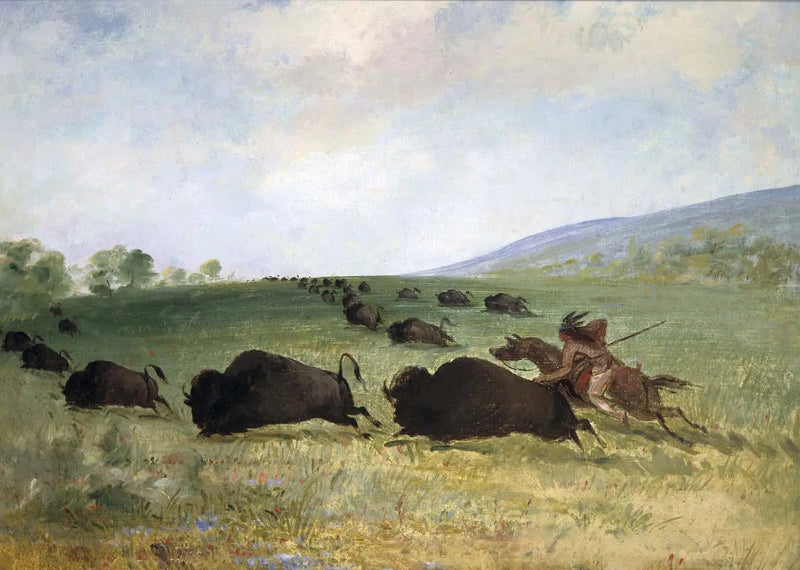 오제 인디언이 버팔로를 던지다 - 조지 캐틀린

Source:
Un Indien Osage lance un buffle - George Catlin