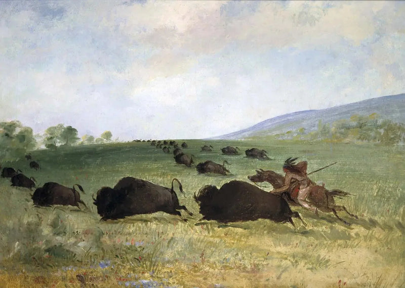 오제 인디언이 버팔로를 던지다 - 조지 캐틀린

Source:
Un Indien Osage lance un buffle - George Catlin