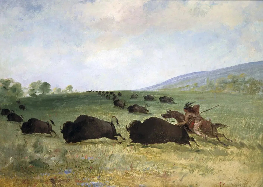 오제 인디언이 버팔로를 던지다 - 조지 캐틀린

Source:
Un Indien Osage lance un buffle - George Catlin
