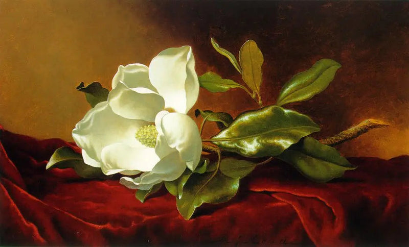 레드 벨벳 위의 목련 - 마틴 존슨 헤이드

Source:
Un magnolia sur du velours rouge - Martin Johnson Heade