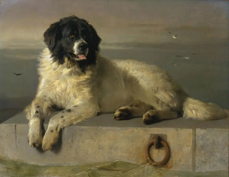 인도적인 사회의 저명한 회원 - 에드윈 헨리 랜드시어

Source:
Un membre distingué de la Humane Society - Edwin Henry Landseer