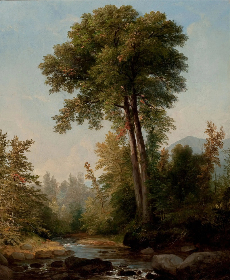 자연의 군주 - 애셔 브라운 듀란드

Source:
Un monarque naturel - Asher Brown Durand