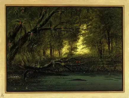 악어 둥지 - 조지 캐틀린

Source:
Un nid d'alligator - George Catlin