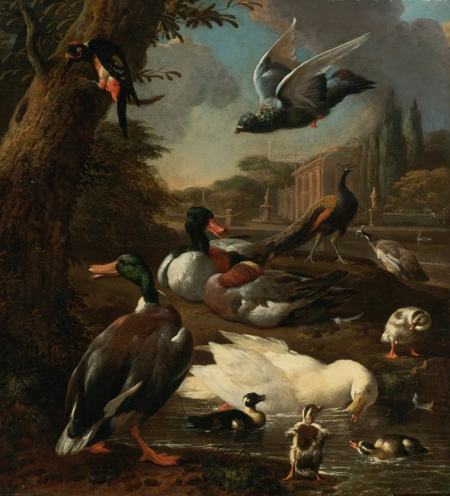 공원, 비둘기, 오리와 기타 새들이 있는 정원 - Melchior de Hondecoeter