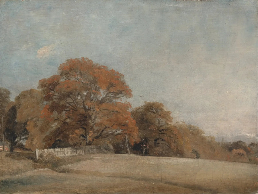 이스트 버그홀트의 가을 풍경 - 존 콘스터블

Source:
Un paysage automnal à East Bergholt - John Constable