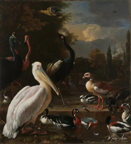 Un pélican et d'autres oiseaux dans une mare, 1680 - Melchior d'Hondecoeter - Reproductions de tableaux et peintures haut de gamme