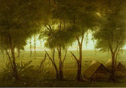 코니보 마을 - 조지 캐틀린

Source:
Un village de Connibo - George Catlin