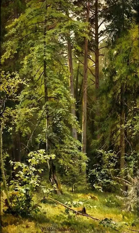 숲 - 이반 치치킨

Source:
Une forêt - Ivan Chichkine