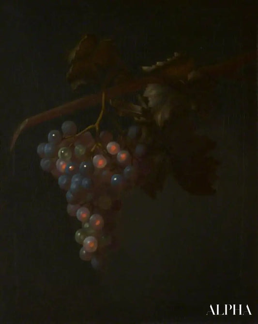 Une grappe de raisin - Tobias Stranover - Reproductions de tableaux et peintures haut de gamme