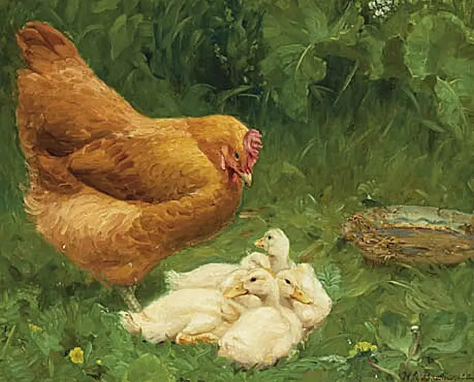 한 마리의 암탉과 몇 마리의 오리 새끼들. - H. A. Brendekilde

Source:
Une poule et quelques canetons. - H. A. Brendekilde