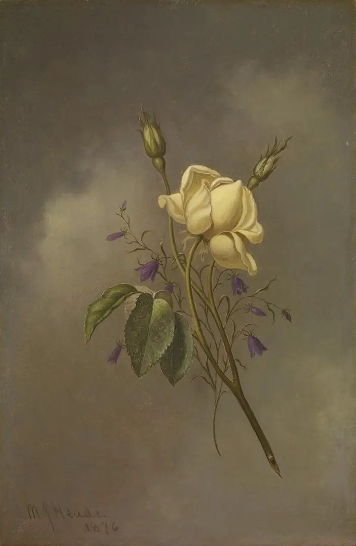 구름 낀 하늘 아래 노란 장미 - 마틴 존슨 헤이드

Source:
Une rose jaune contre un ciel nuageux - Martin Johnson Heade
