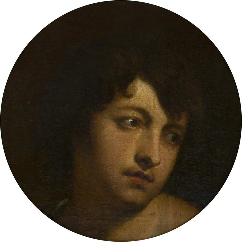 반 다이크, 파리 역 - 앙투안 반 다이크

Source:
Van Dyck dans le rôle de Paris - Antoine van Dyck