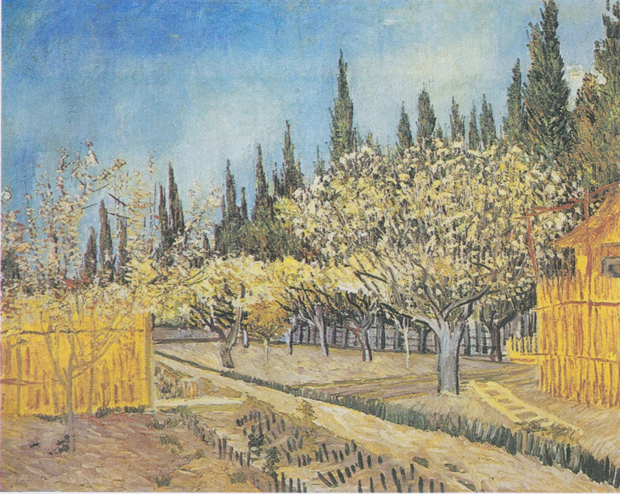 꽃이 핀 과수원, 사이프러스 나무로 둘러싸인 - Vincent van Gogh