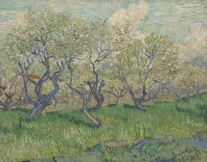 꽃이 핀 과수원 - Vincent van Gogh