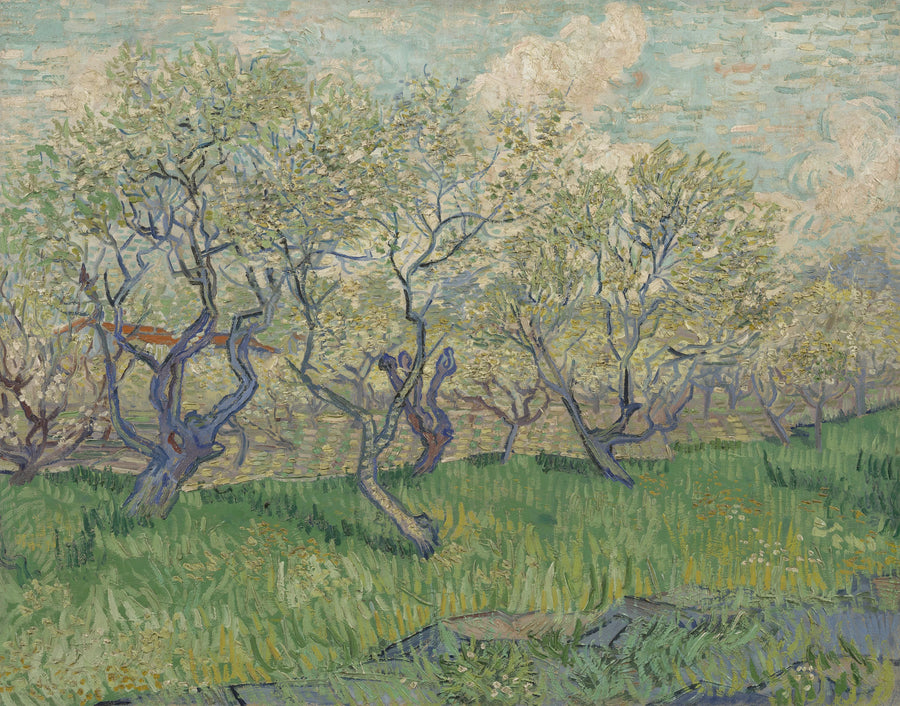 꽃이 핀 과수원 - Vincent van Gogh