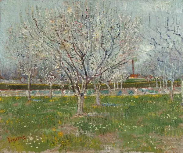 Verger en fleurs - Vincent van Gogh image 1 reproduction de peinture à l’huile