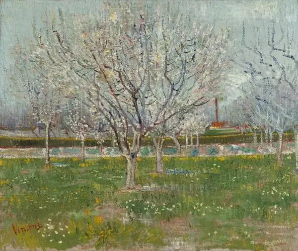 꽃이 핀 과수원 - Vincent van Gogh