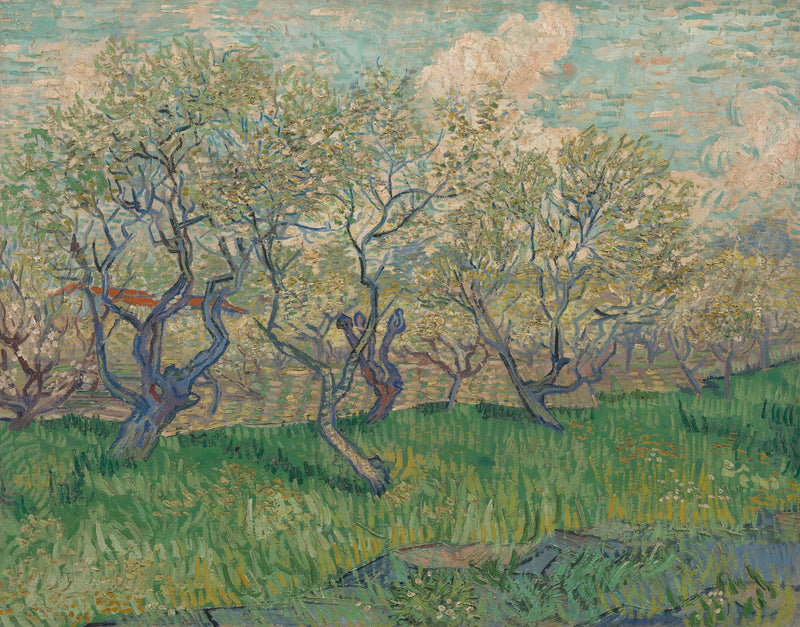 꽃이 핀 과수원 - Vincent van Gogh