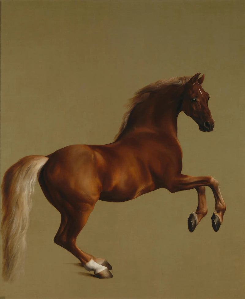 휘파람 재킷 - 조지 스터브스

Source:
Veste sifflante - George Stubbs